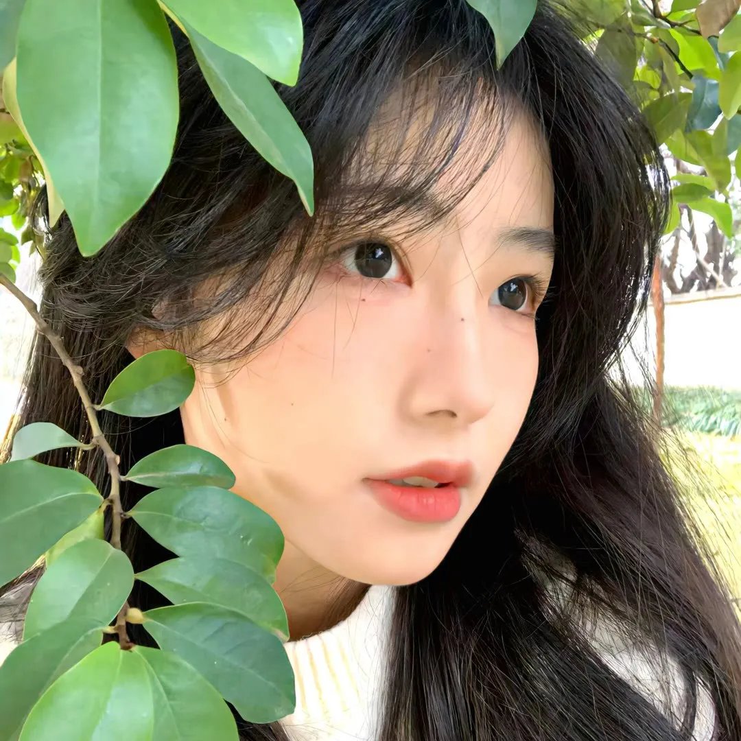 更好的世界
